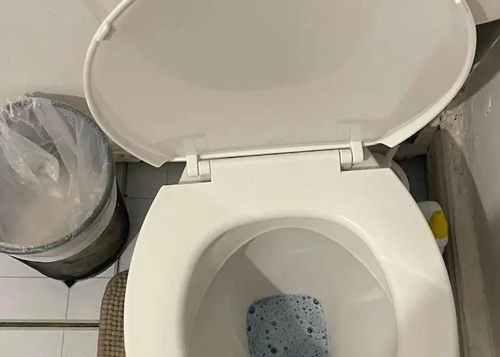 招待所 画廊公寓 都柏林