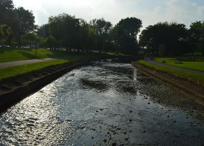 Pensión The Gallary *